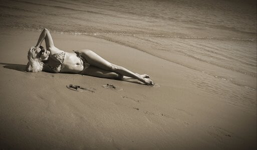 Palomaxy Public Poză 2