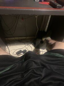 AsimakoのPublicの 2枚の写真