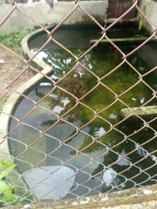 Chanelll_Taylorr_ Objeepic tivo. vacation to coveñas colombia in november 2025 dream come true Pic 7