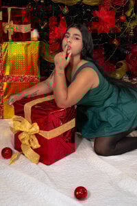 HannasscottGolden Christmas Desire图片 4