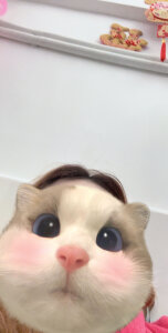 SpentHighlife kullanıcısının Public albümü -  5 fotoğraf