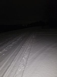 Gris-shadow Kuckt slika 5