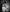 Adventures_of_young_ black anda white Pic 2