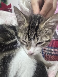 ailen_wood My love Rini 💘 Gambar 8