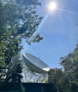 Gyno_Rod Public Εικόνα 6