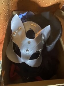 Ladyle32 👋🏻  4. fénykép