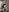 ElswythCovil berserk cosplay 18+ Pic 5