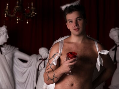 ArthurWhiteeHappy Valentine's Day图片 7