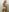 Gabriella_Hot_ 💦🔥 Sexy photos in erotic lingerie💦🔥 Pic 4