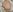 perfect_sweety_girl 25 nudes for nice price <3 Photo