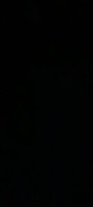 tyteo1010 Public 사진 4