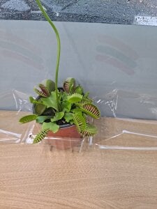 qwsder1234 Public Pic