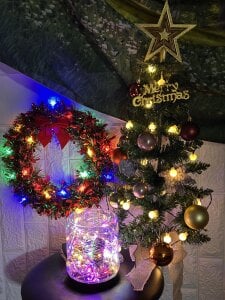 icejuljulju✨️Merry Christmas🎄✨️图片 3