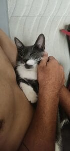 jamison7785 Eu Pic 2