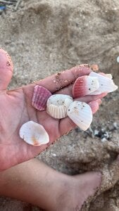 AnnaRosse1 Traveling Panamá Pic 4