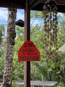 YourLittleFantasy another goal achieved 💙💦 whales🎯 Pic 8