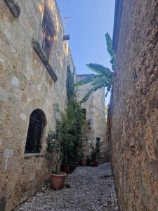 bokicabi public5 . fénykép