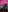 Andy_and_emma Many photos for you 😈​🥰​ Photo 2