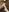 Bad_Giorgia PIEDI/FEET Pic 6