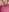 LaRosaDelDeserto Pussy 사진 5