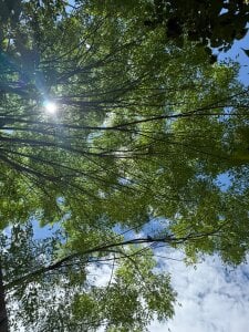 TomLondon_ Welcome to paradise... Poză 3