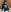 SIBBLlnGraypacMisha show ass and dick ><照片 3