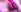 Paradise_LOVE NAKED PUSSY Photo 3