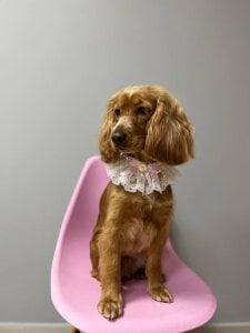 CyberMia My important part of life Pic 8