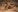 NicoleSantana this album is hot, if you like my nipples buy it Foto  2