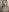 littleserina New year new content ✨ Pic 9