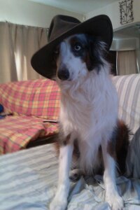 BeastlyAmore Beastly Pic