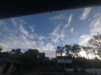 317076 David  2. fénykép