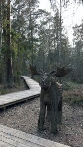 MelissaMelrey 🤍🤍 Pic 4