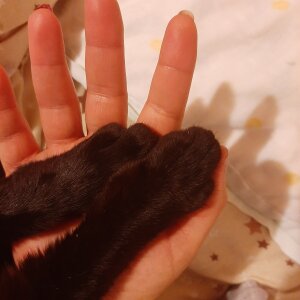 Twilight_Anna Public зображення 2