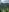 Tefy-Rose 𝐀 𝐋𝐈𝐓𝐓𝐋𝐄 𝐁𝐈𝐓 𝐎𝐅 𝐌𝐘 𝐓𝐑𝐈𝐏 Pic 5