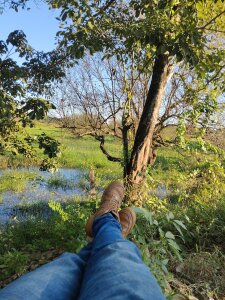 sergiolechero Public 圖片 8