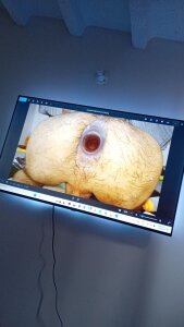 holegape Public.. Pic