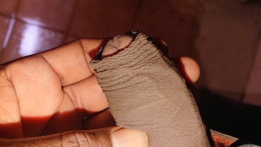 Sure-footedFinder Public Pic 6