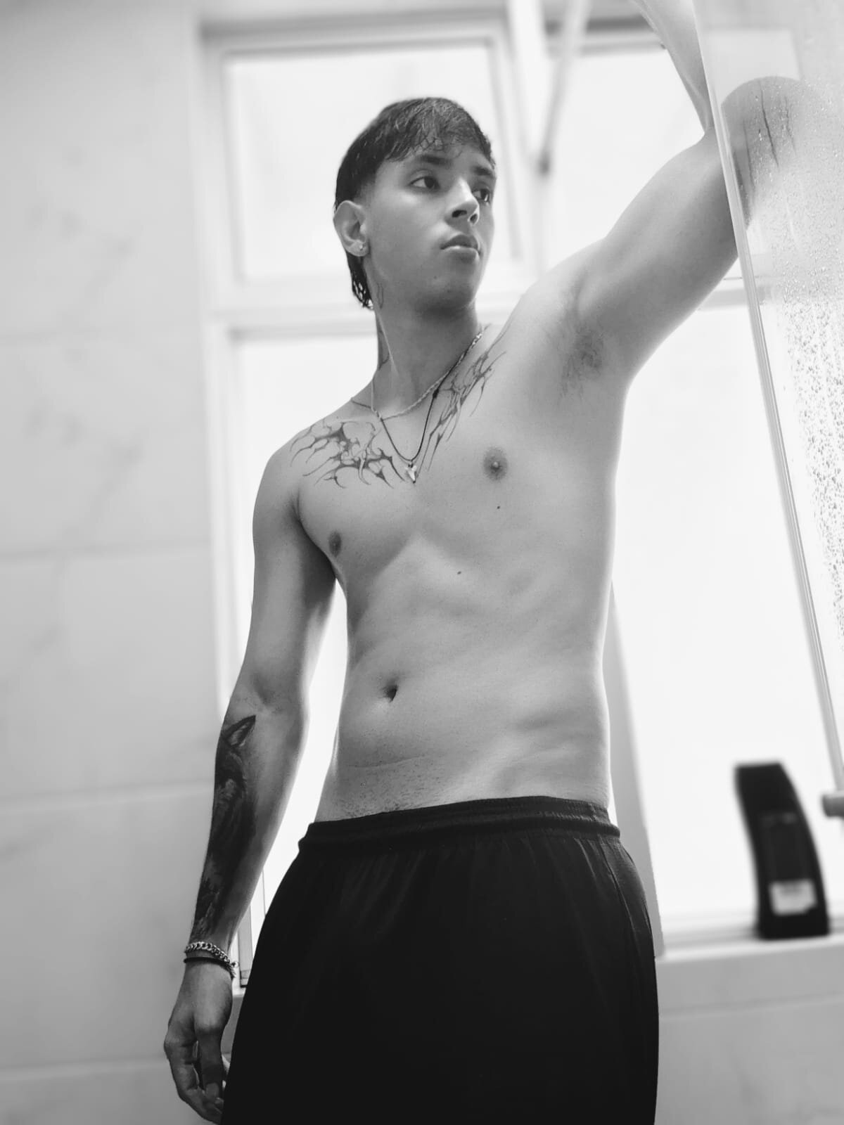 Wolf_light Aktuellstes Foto 5906