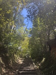 iruiru_jp Public Foto 7