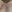 sassypro Hairy Pussy Foto  3
