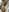 JuicyFromTheBlock Nackt und allein im Hotelbett Foto 