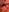 goth_miss_cass Big&juicy booty and pussy in red lights Foto  5