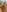 Arianna_connor1naked just because照片