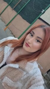 KimWilis Public Gambar 2