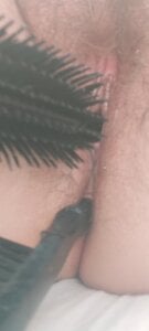 Tally_Hoe Public Pic 2