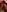 angela_angels_ VISION RED HOT Pic 4