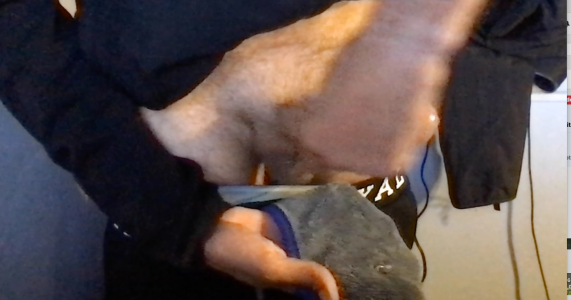 SinlessFreedom7 MY cock  2টি ছবি