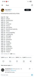 programmersData12 Lion Pic 2