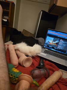 Johnnytailplug Public Pic 7